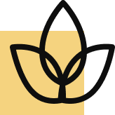 Bienestar
