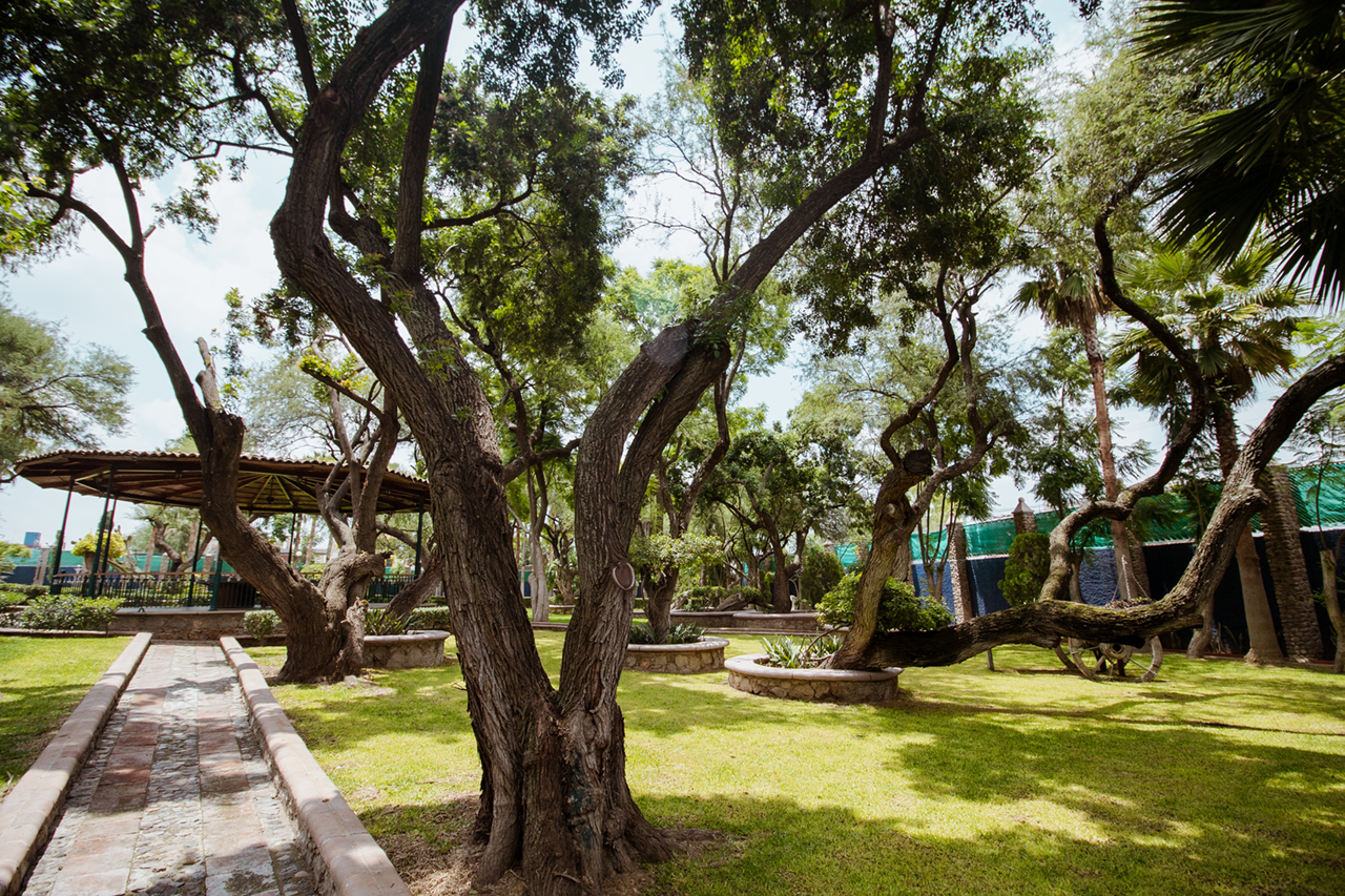 Hacienda San Rodrigo Villa-Maria-Cristina-Guanajuato-Invisible-Colectivo-006